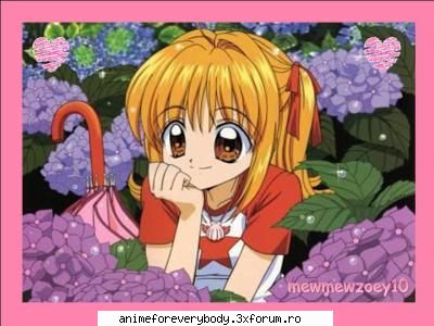 5 luchia