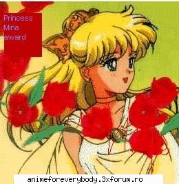 6 sailor venus