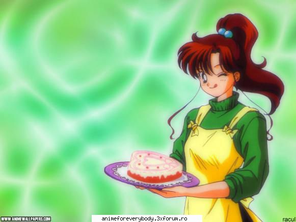 12 sailor jupiter
